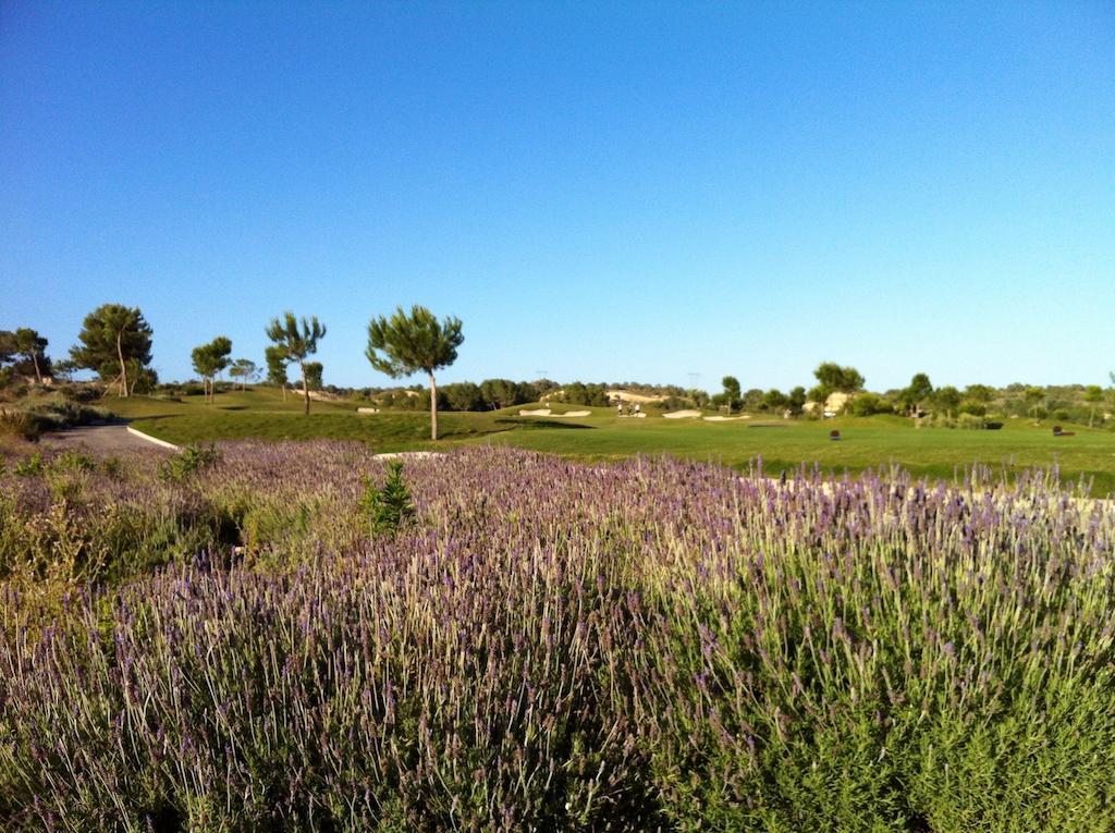 Villa In Spain At Las Colinas Golf & Country Club Dehesa de Campoamor  Exterior photo
